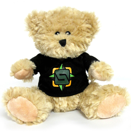Black Teddy Bear with Custom Printed Tee