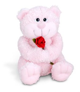Valentines Custom Heart Bear Plush