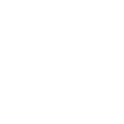 Promotional GWP Plush Icon