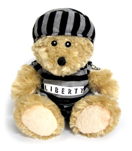Custom Mascot Teddy Bear in Printed T-Shirt